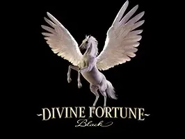 โชคลาภศักดิ์สิทธิ์สีดำ game thumbnail